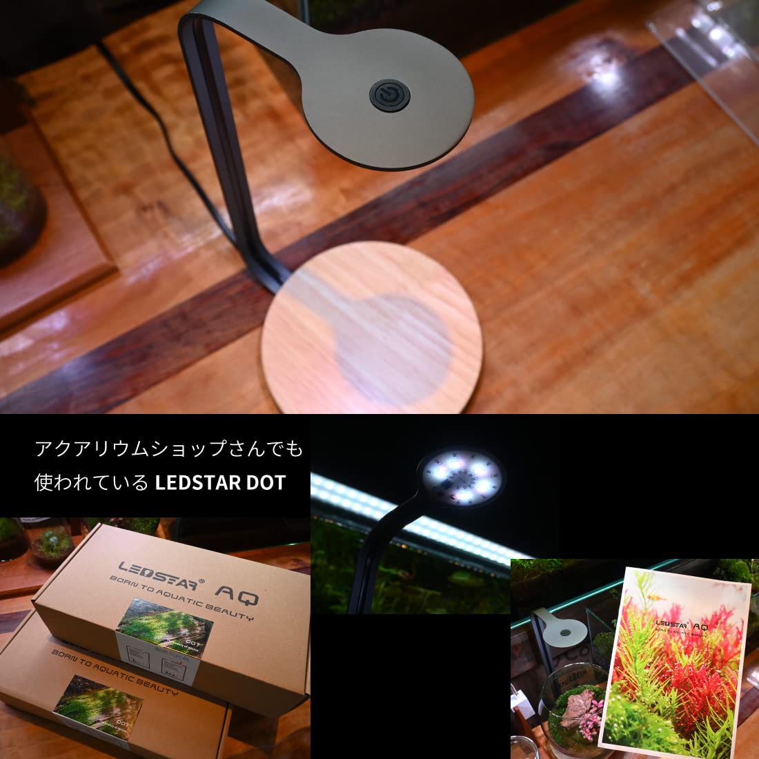 Amazon | LEDSTAR DOT 植物育成 ボトルアクア用 観葉植物 デスクトップ